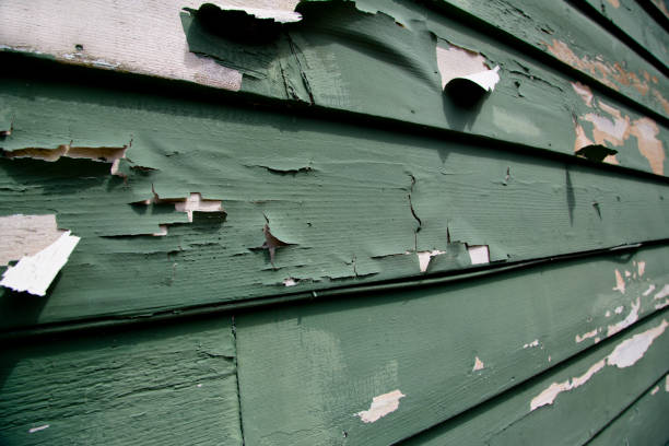 Siding for Multi-Family Homes in Sparta, WI